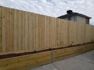 Treated Pine Paling Fence in Burwood